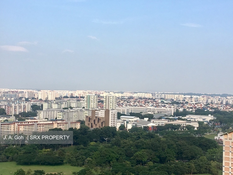 Clover By The Park (D20), Condominium #183155232